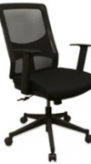 Edge Chair with ergonomic back rest