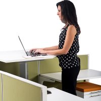 HiLow all purpose Sit-stand Desk Employee standing