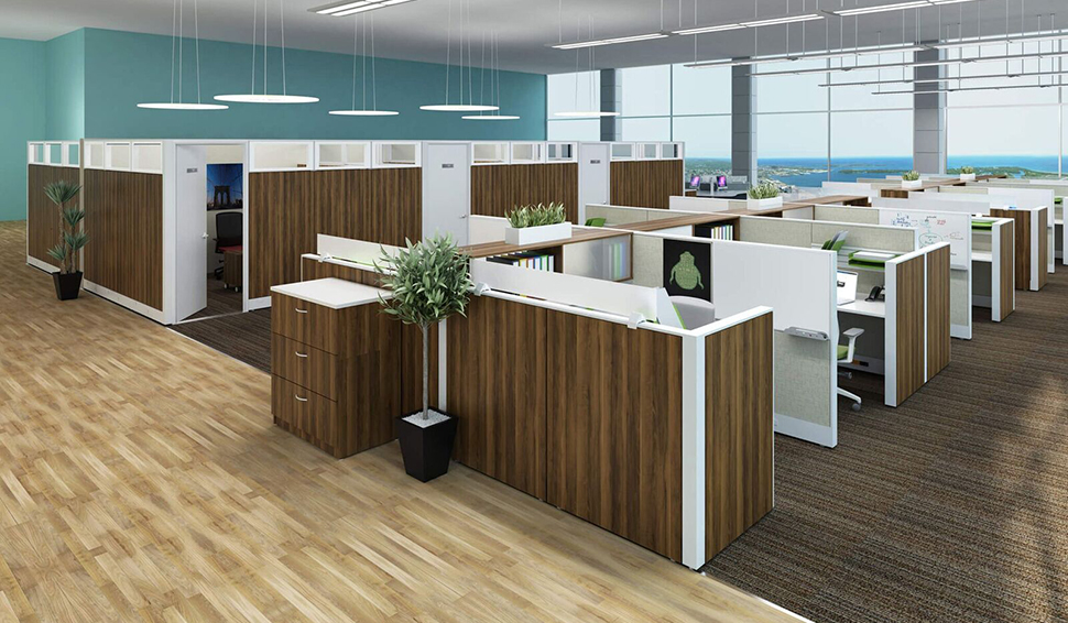 Cubicles Working Together 2