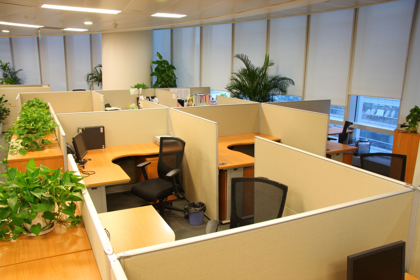 What Makes a Well-Designed Cubicle