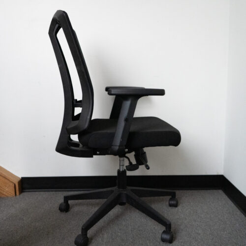 Sunline Ergo Classic - Image 5