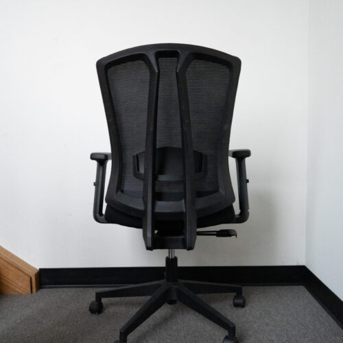 Sunline Ergo Classic - Image 4