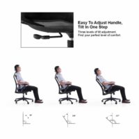 Sunline Ergo Plus - Image 5