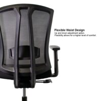 Sunline Ergo Classic - Image 8