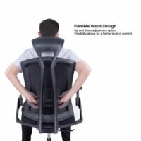 Sunline Ergo Plus - Image 6