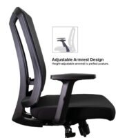 Sunline Ergo Classic - Image 9