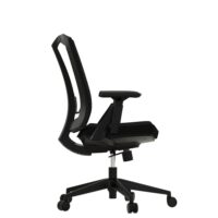 Sunline Ergo Classic - Image 2