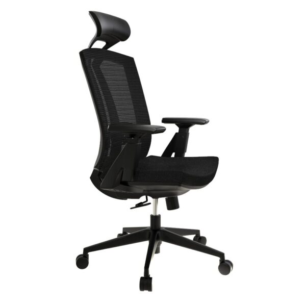 Sunline Ergo Plus