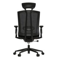 Sunline Ergo Plus - Image 2